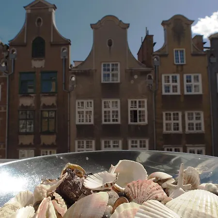 Grand-tourist Amber Center